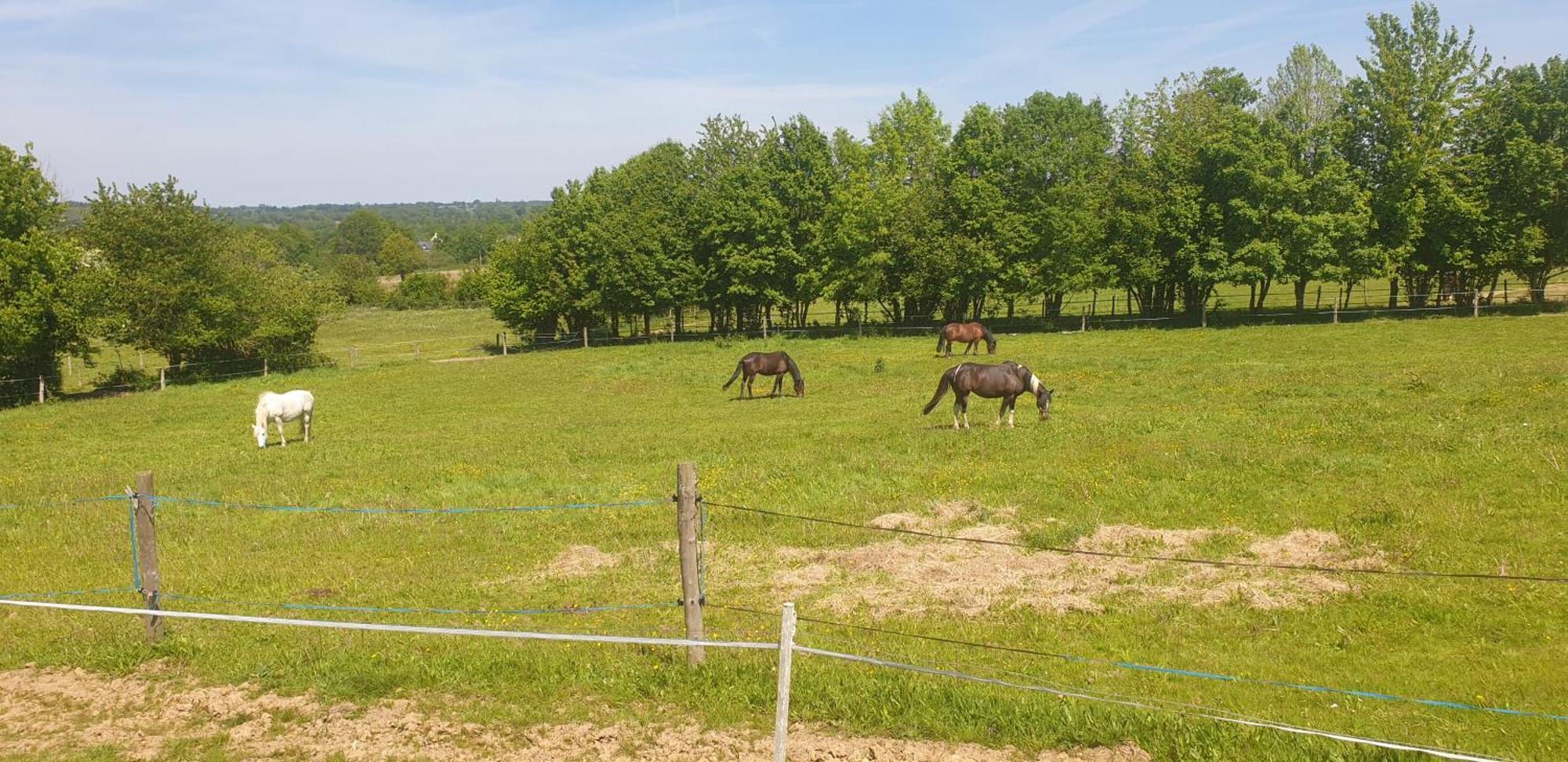 Farm stay A La Campagne Mezieres-Sur-Couesnon