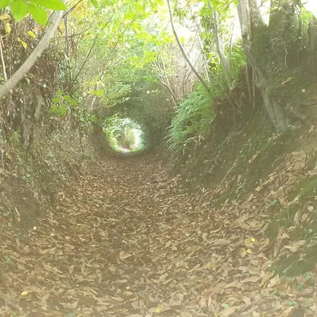 Chambre A La Campagne Mezieres-Sur-Couesnon Exterior photo